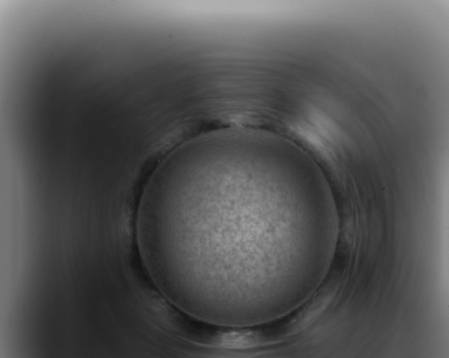 X0000088410461200705291452