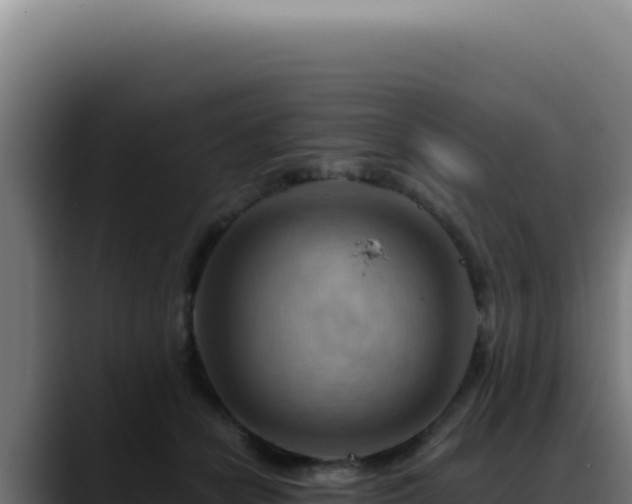 X0000088410462200705291452