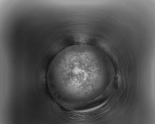 X0000088410466200705291453