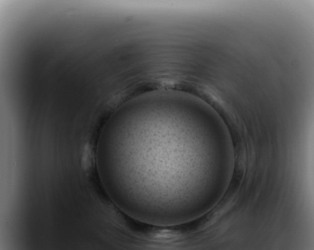 X0000088410467200705291453