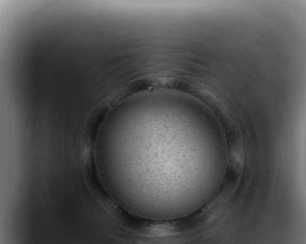 X0000088410468200705291453