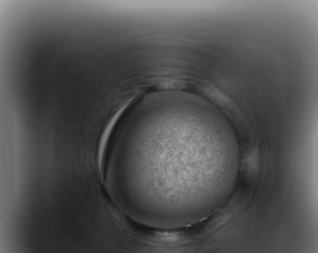 X0000088410469200705291453