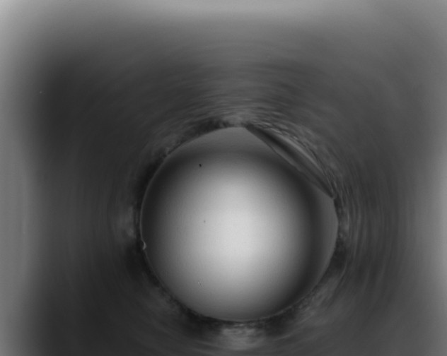 X0000088410470200705291453