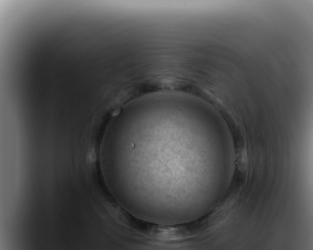 X0000088410472200705291453