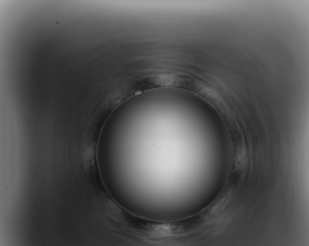X0000088410473200705291453