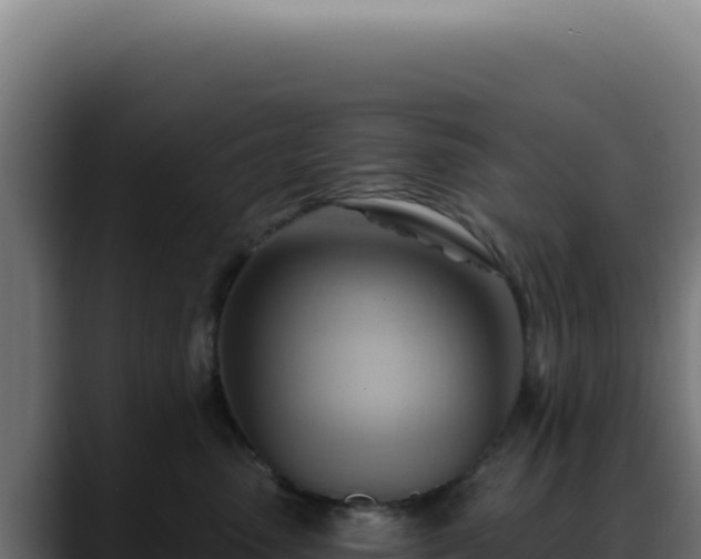 X0000088410475200705291453
