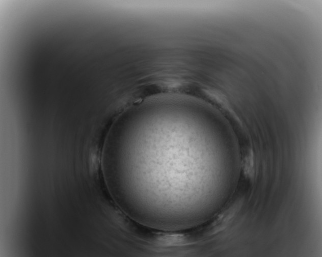X0000088410476200705291453