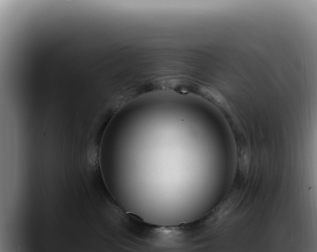 X0000088410477200705291453