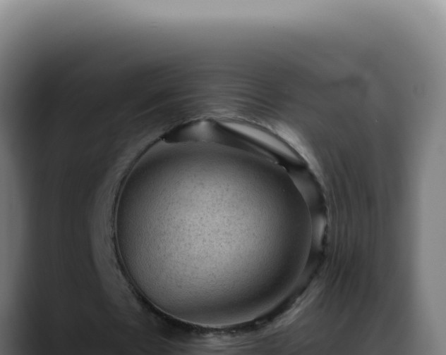 X0000088410481200705291452