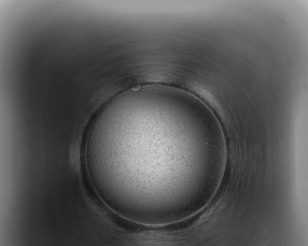 X0000088410482200705291452