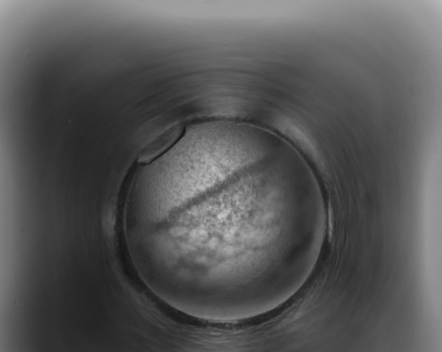 X0000088410483200705291452
