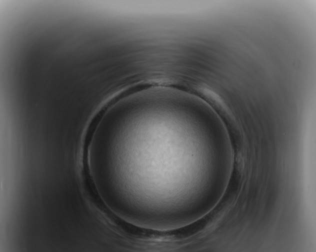 X0000088410484200705291452