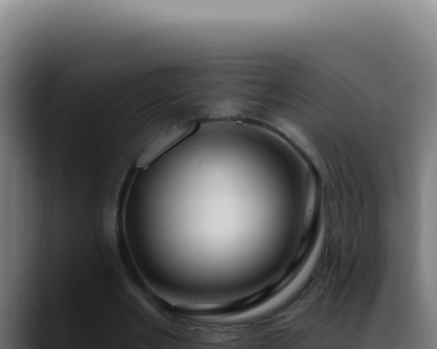 X0000088410485200705291452