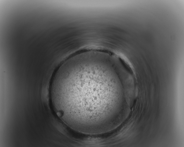 X0000088410487200705291452