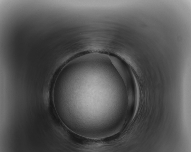 X0000088410488200705291452