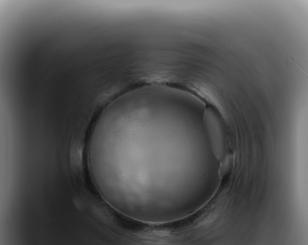 X0000088410491200705291452