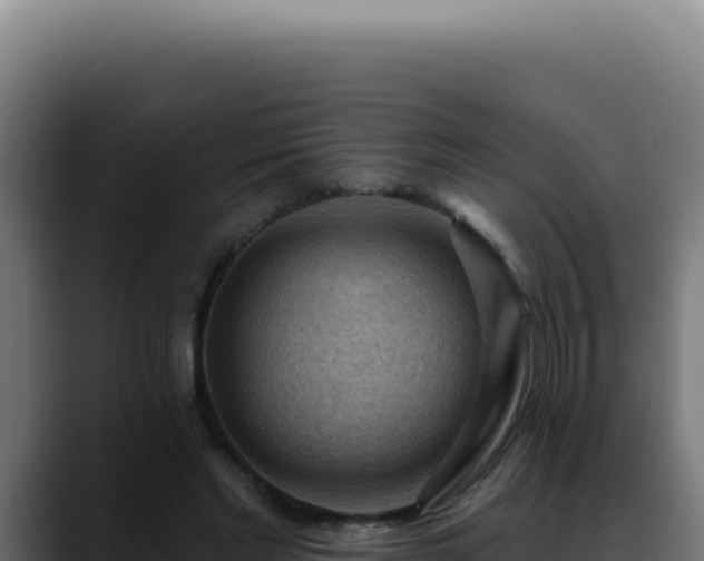 X0000088410493200705291452