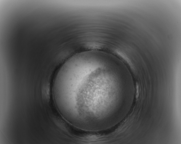 X0000088410494200705291452