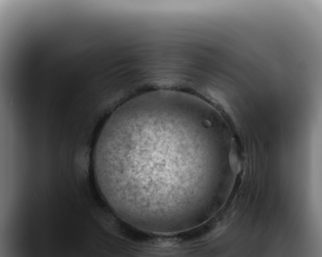 X0000088410495200705291452