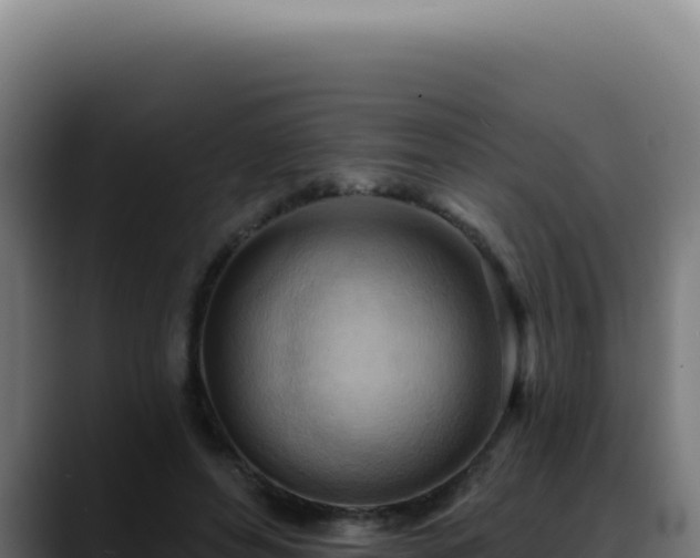 X0000088410496200705291452