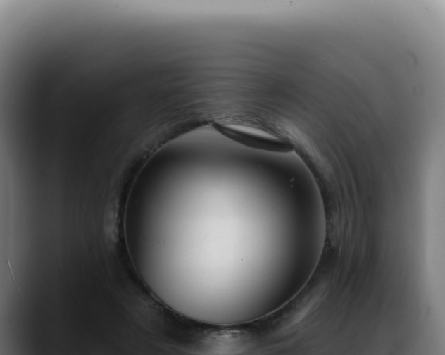 X0000088410497200705291452