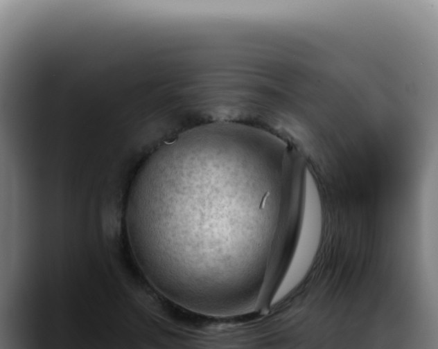 X0000088410499200705291452