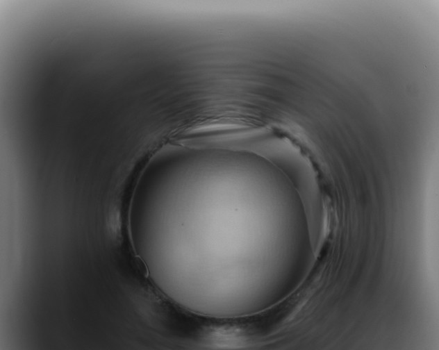 X0000088410500200705291452