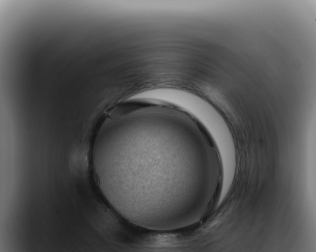 X0000088410501200705291452