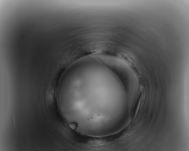 X0000088410503200705291452