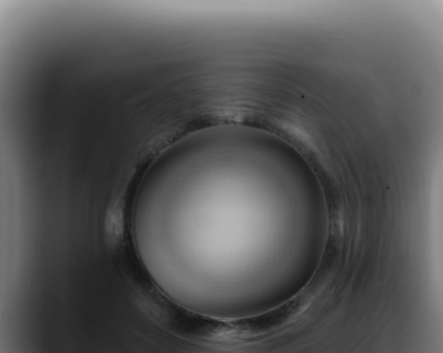 X0000088410504200705291452
