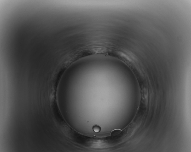 X0000088410507200705291452