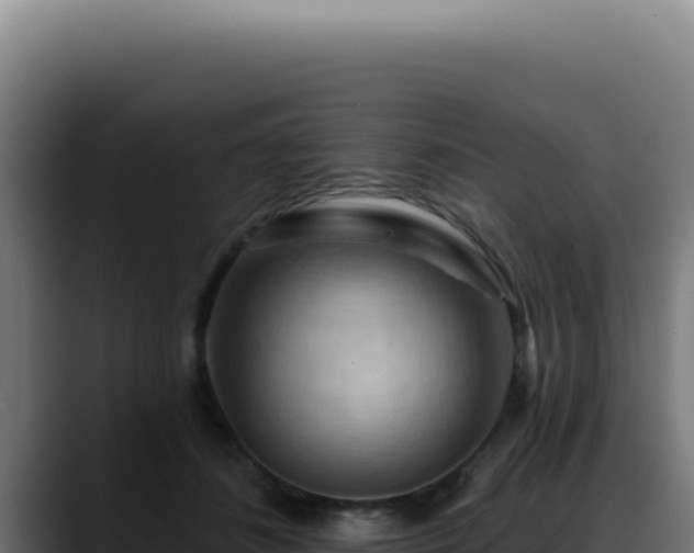 X0000088410508200705291452