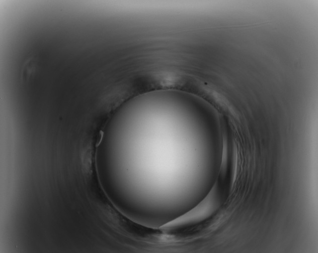 X0000088410509200705291452