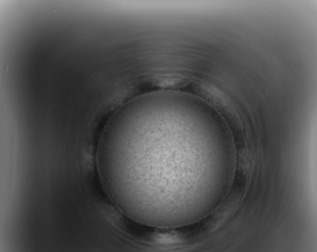 X0000088410510200705291452