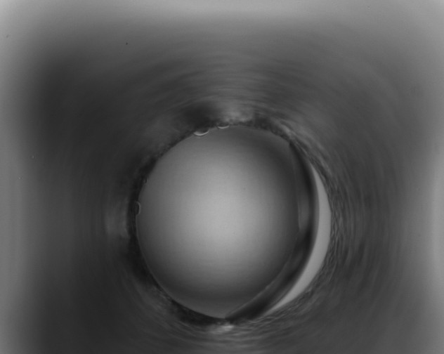 X0000088410512200705291452