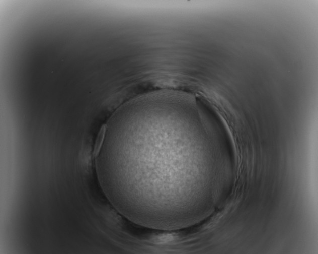 X0000088410513200705291452