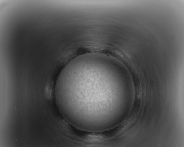X0000088410515200705291452