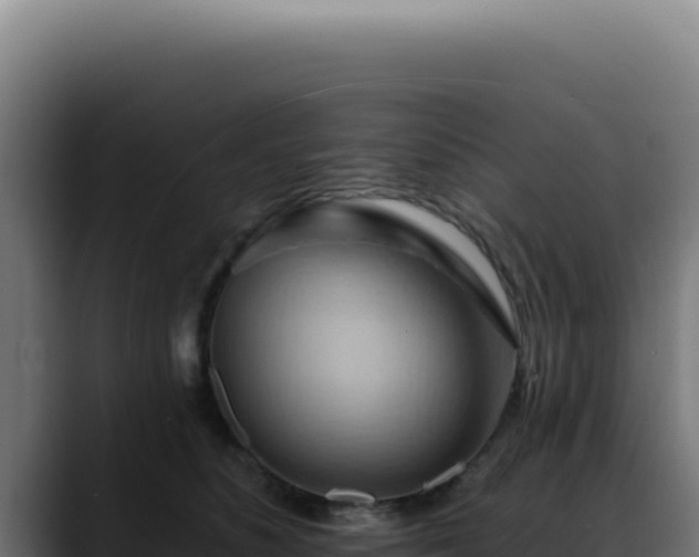X0000088410516200705291452