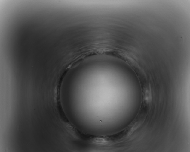 X0000088410519200705291452