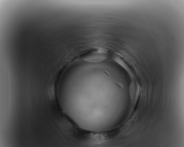X0000088410520200705291452
