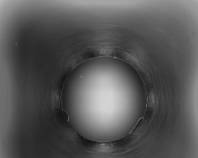 X0000088410522200705291452