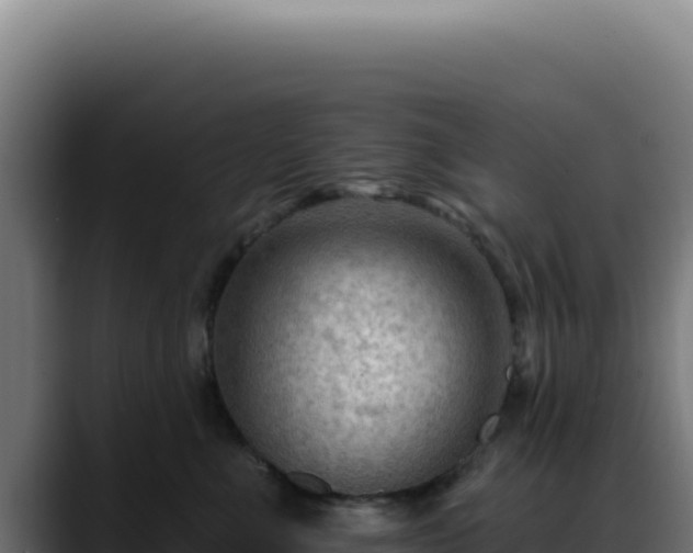 X0000088410523200705291452