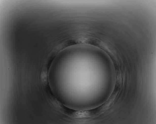 X0000088410526200705291452