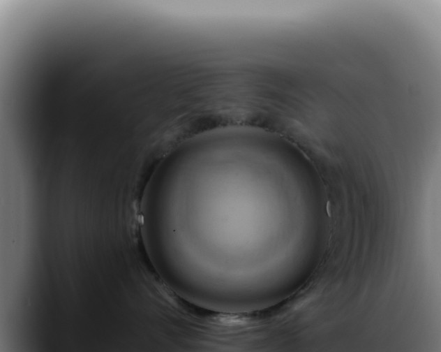 X0000088410528200705291451