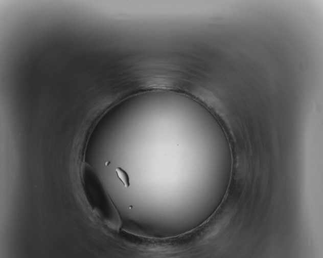 X0000088410529200705291451