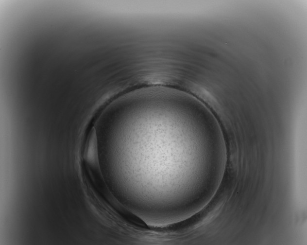 X0000088410530200705291451