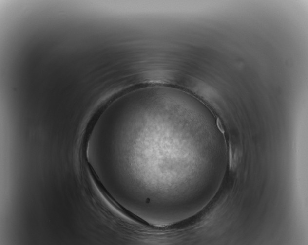 X0000088410531200705291451