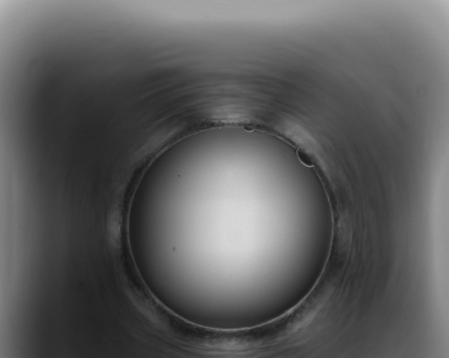X0000088410533200705291451
