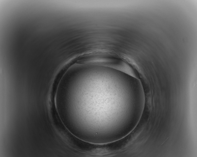 X0000088410536200705291451