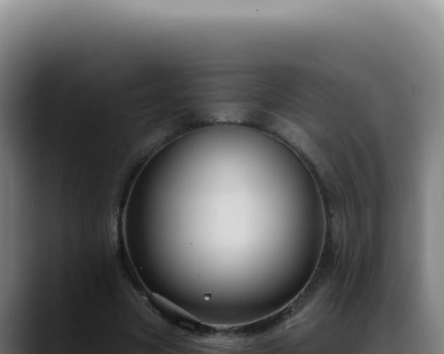 X0000088410537200705291451